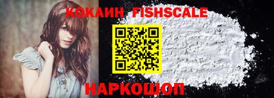 гашик Дмитров