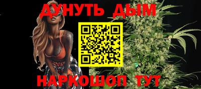 гашик Дмитров