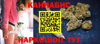 гашик Дмитров